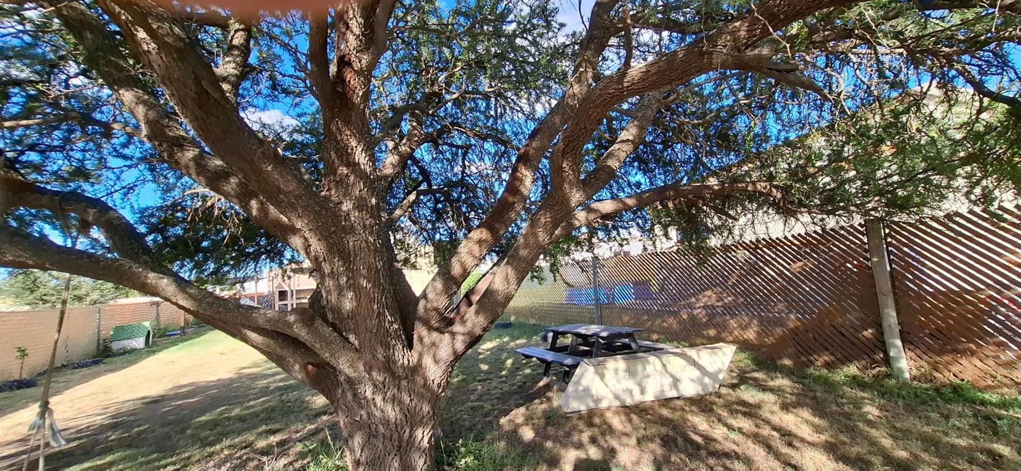 A La Sombra Del Calden Apartamento RSA Exterior foto